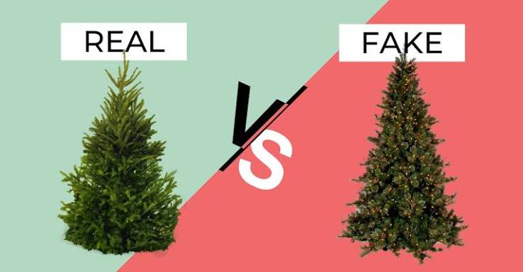 Outdoor Artificial Trees vs Real Trees: Which Enhances Property Value More?